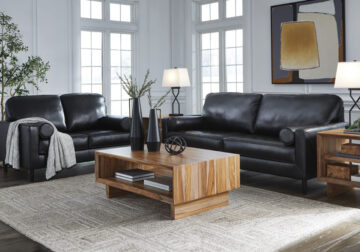 Bryceview Onyx Sofa Set